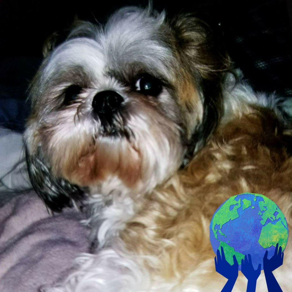 Meet your Posher, Edith